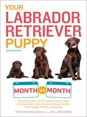 cover image of Your Labrador Retriever Puppy Month by Month